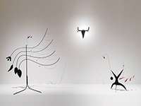 Calder-Picasso