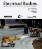 PhotoAlicante. Exposición Electrical bodies