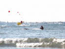 Travesía a Nado Tabarca-Santa Pola