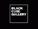 Galería Black Cube Gallery