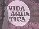 Vida aquàtica