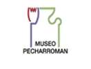 Museo Fundación Pecharromán