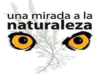 Una mirada a la naturaleza