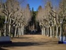 Huesca es luz