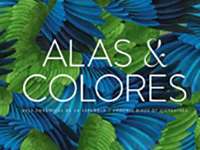 Alas & Colores