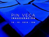 Pin Vega 