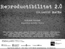 Reproductibilitat 2.0. Colección MACBA