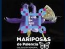 Mariposas de Palencia