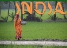 Fotografías de la India