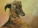 Los galgos de Cristina Cuber