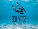 Still Waters (Aguas Tranquilas)