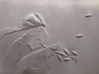 Amparo Sard