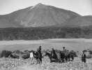 Tenerife en la Memoria